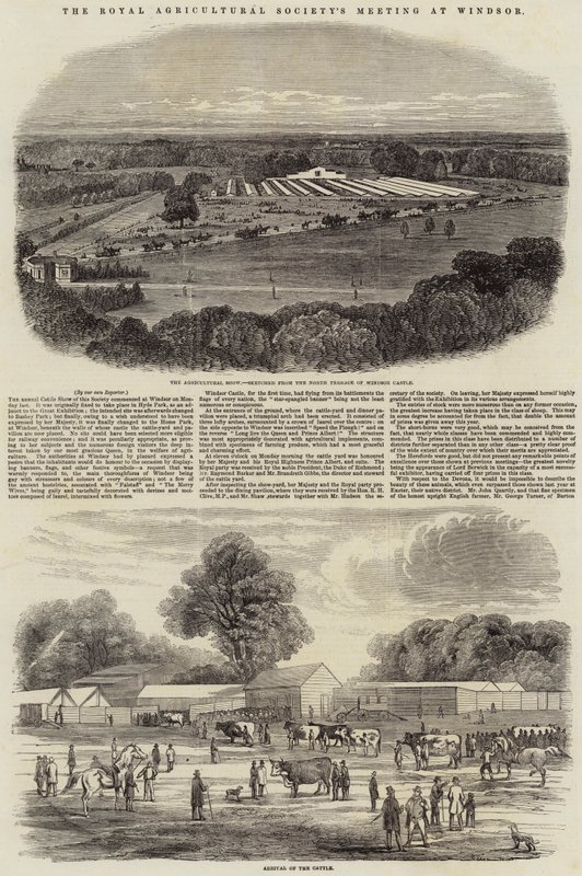 Royal Agricultural Societys møde i Windsor af Harrison William Weir