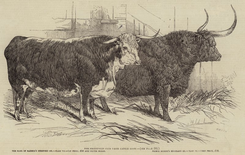Smithfield Club Prize Cattle Show af Harrison William Weir