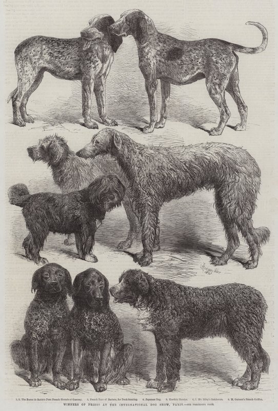 Vindere af priser på den internationale hundeudstilling, Paris af Harrison William Weir