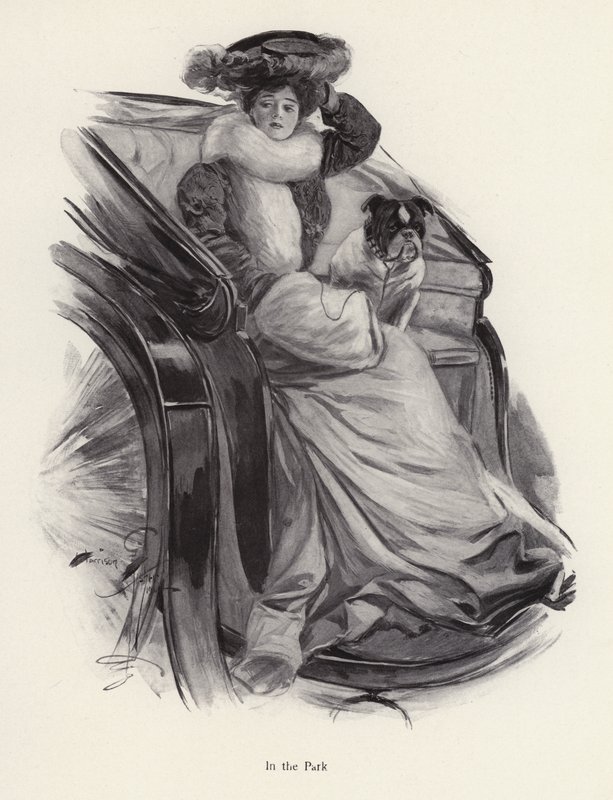 Kvinde sidder i en vogn med sin hund (litho) af Harrison Fisher