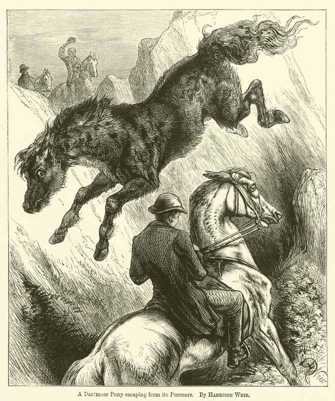 En Dartmoor-pony på flugt fra sine forfølgere af Harrison William Weir