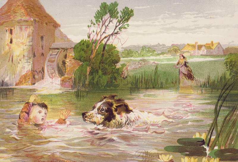 Hund redder Charleys liv (farvelitografi) af Harrison William Weir