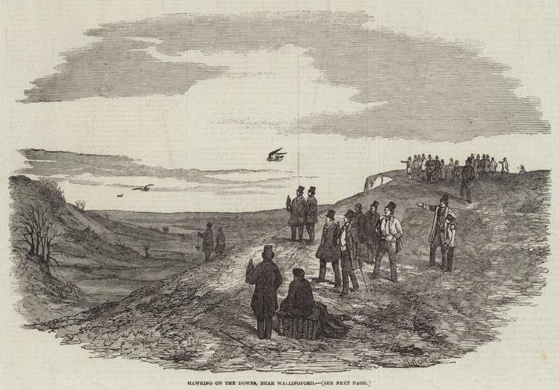 Hawking on the Downs, nær Wallingford af Harrison William Weir