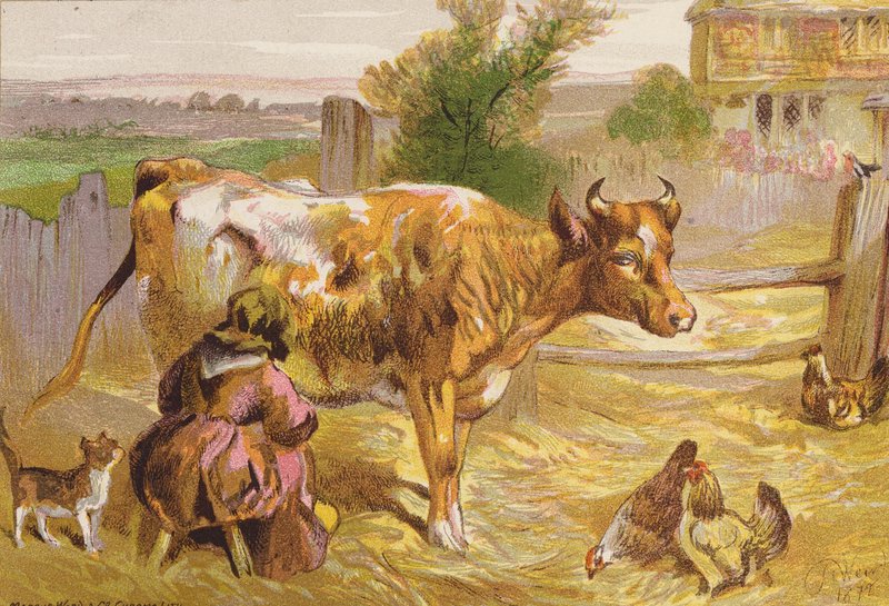 Gamle Nancy malker koen (farvelitografi) af Harrison William Weir