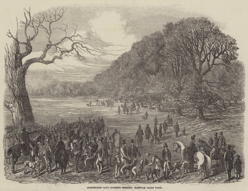 Spelthorne Club Coursing Meeting, Hampton Court Park af Harrison William Weir