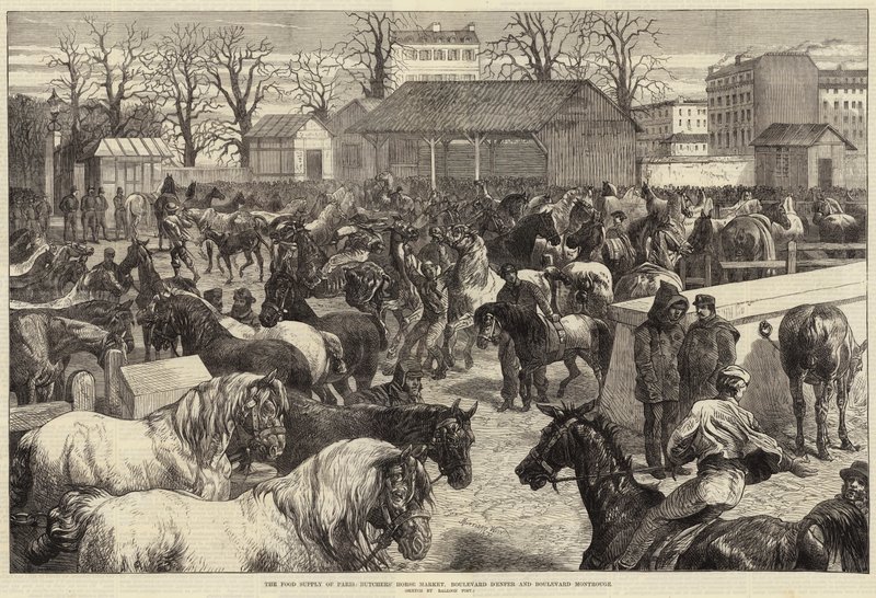 Madforsyningen i Paris, Butchers