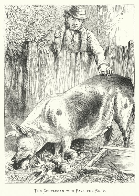 Herremanden, der betaler huslejen af Harrison William Weir