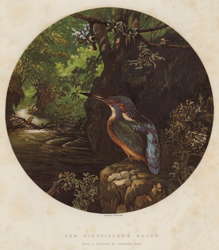 Isfuglens tilholdssted af Harrison William Weir