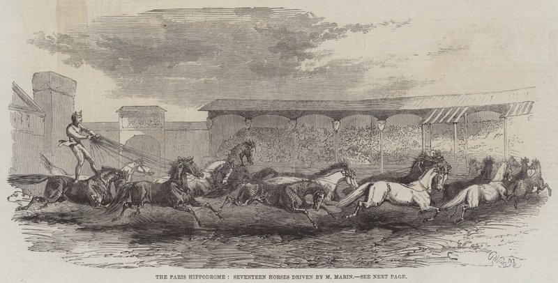 Paris Hippodrome, Seventeen Horses drevet af M Martin af Harrison William Weir