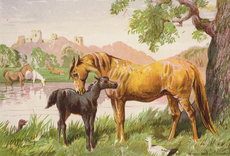 Det ødelagte slot (farvelitografi) af Harrison William Weir