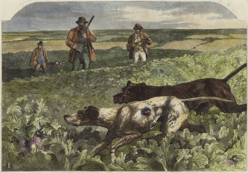 Den første september af Harrison William Weir