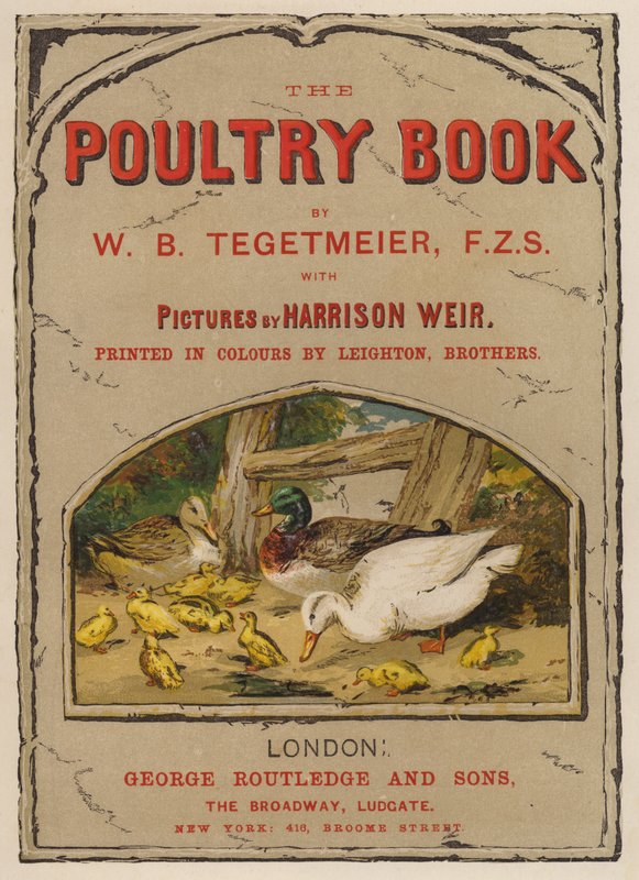 Titelsideillustration til The Poultry Book af W B Tegetmeier (chromolitho) af Harrison William Weir