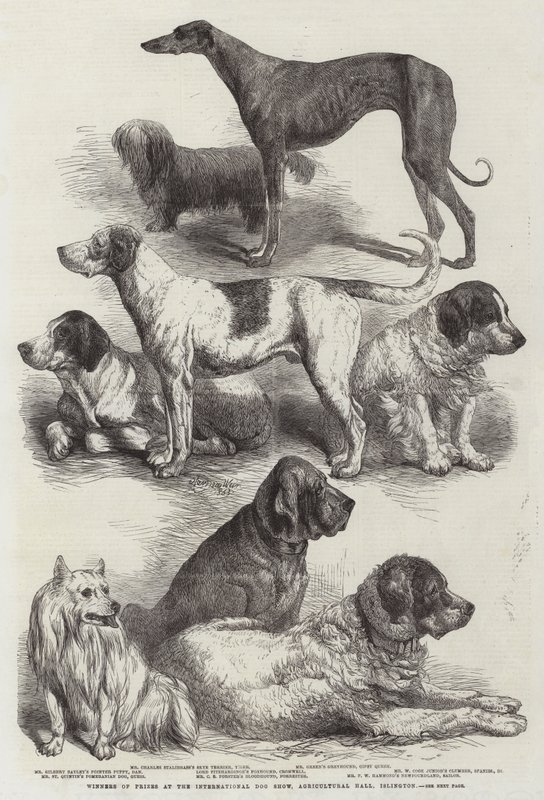 Vindere af priser ved International Dog Show, Agricultural Hall, Islington af Harrison William Weir