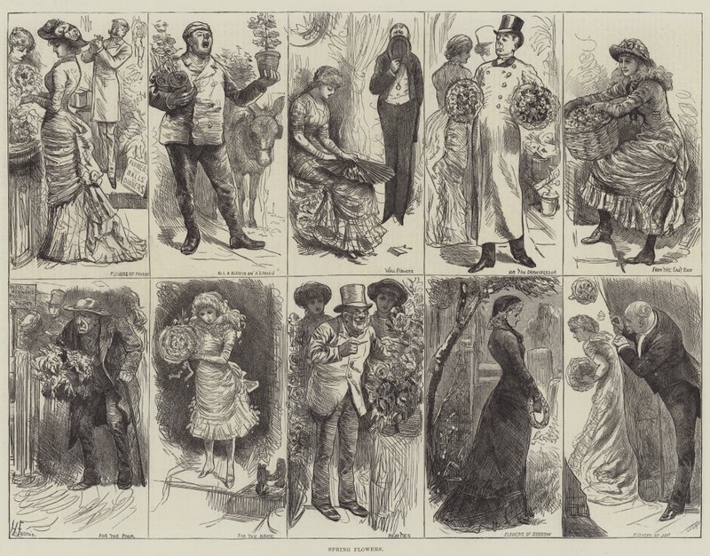 Forårsblomster af Harry Furniss