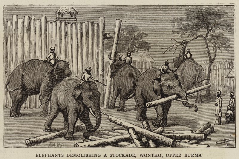 Elefanter, der nedbryder en Stockade, Wontho, Øvre Burma af Harry Hamilton Johnston