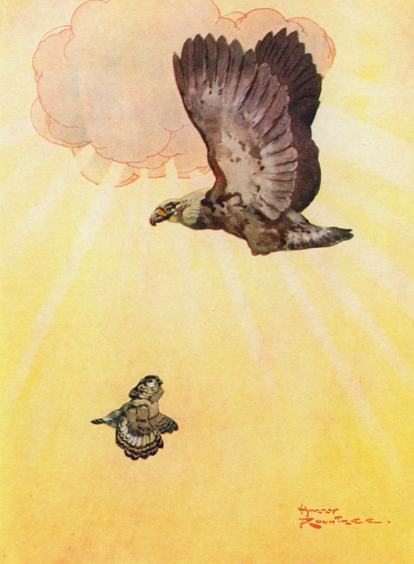 Uglen og Ørnens Datter (farve litho) af Harry Rountree