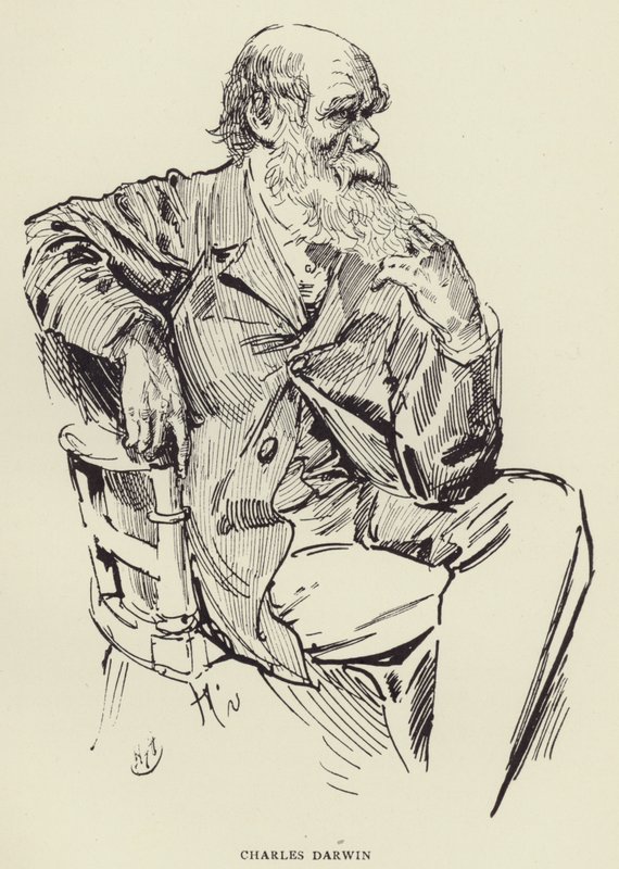 Charles Darwin af Harry Furniss