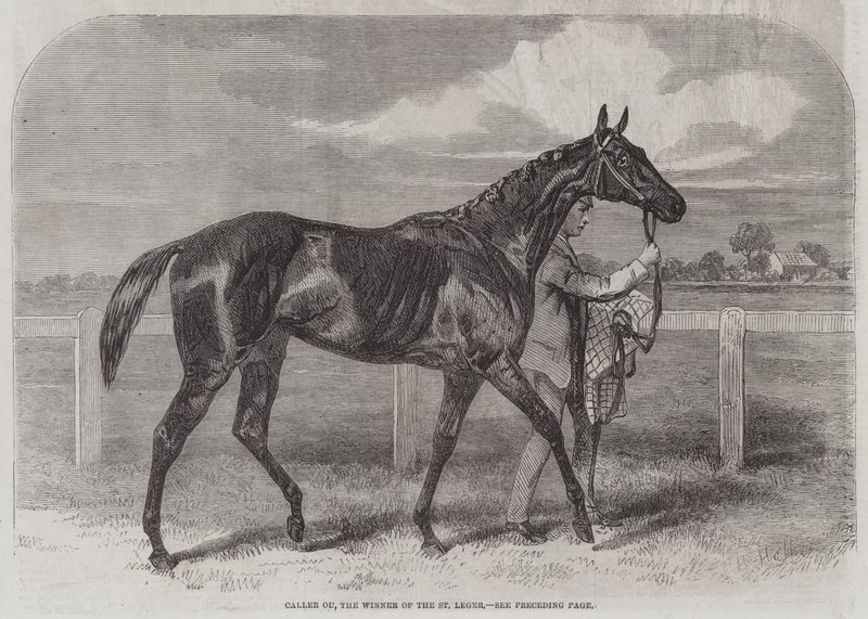 Caller Ou, vinderen af St Leger af Harry Hall