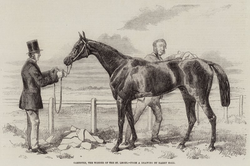 Gamester, vinderen af St Leger af Harry Hall
