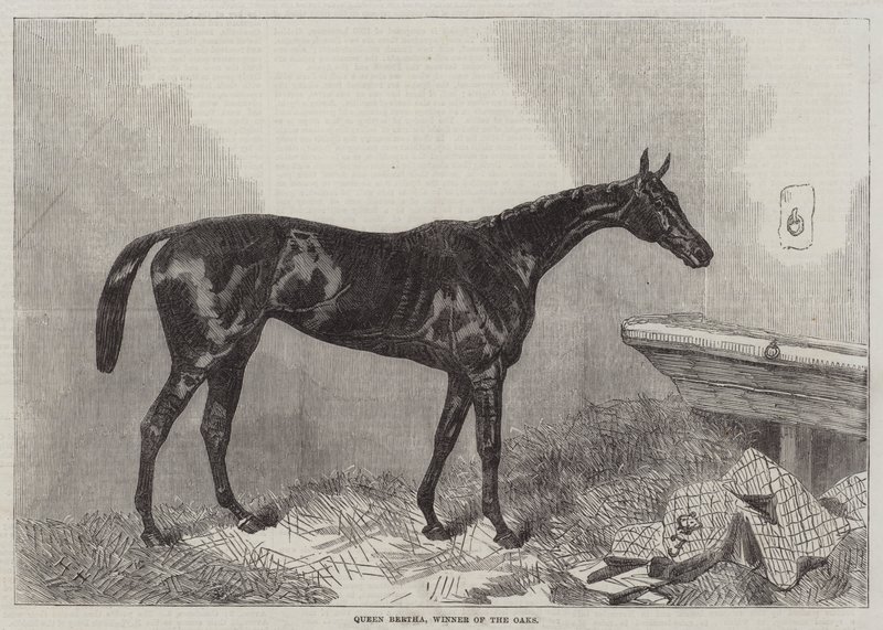 Queen Bertha, vinder af Oaks af Harry Hall