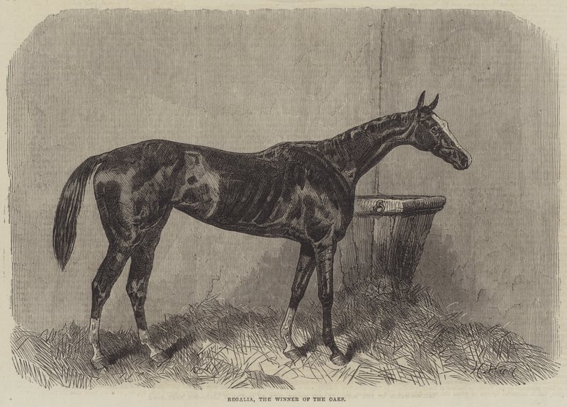 Regalia, vinderen af Oaks af Harry Hall