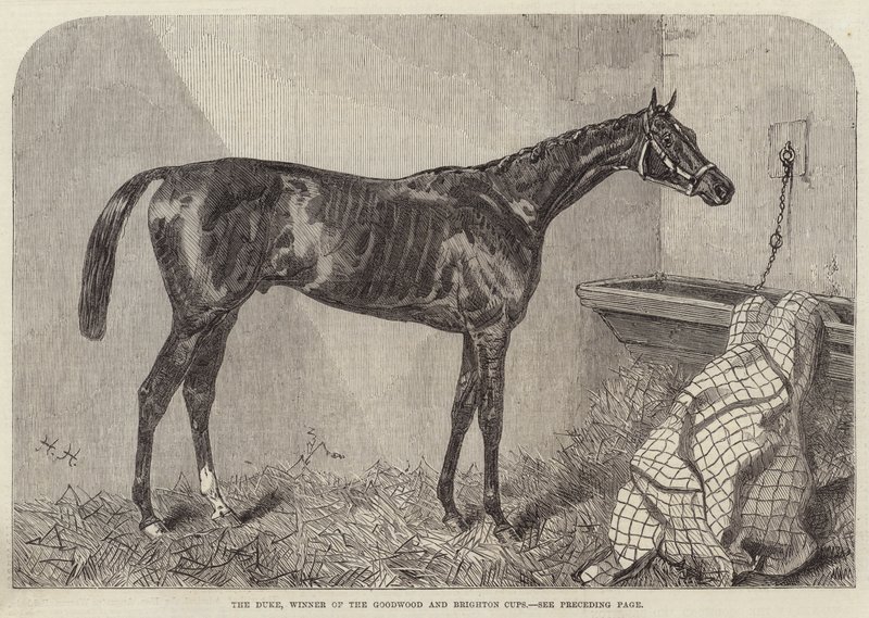 The Duke, vinder af Goodwood og Brighton Cups af Harry Hall