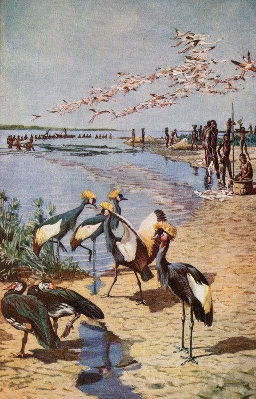 De nordlige kyster af Tchad-søen, set af Denham i 1822 af Harry Hamilton Johnston