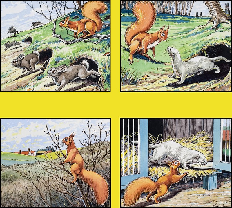 Lille røde egern af Harry M. Pettit
