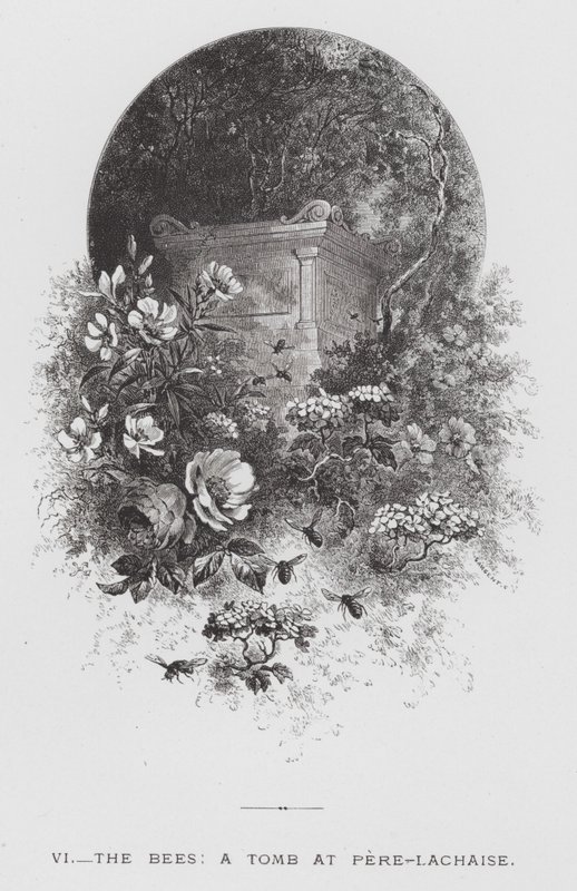 Insektet: Bierne, en grav ved Pere-Lachaise (gravering) af Hector Giacomelli