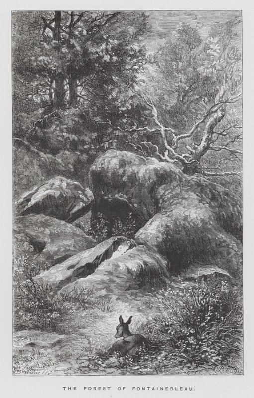 Insektet: Fontainebleau-skoven (gravering) af Hector Giacomelli