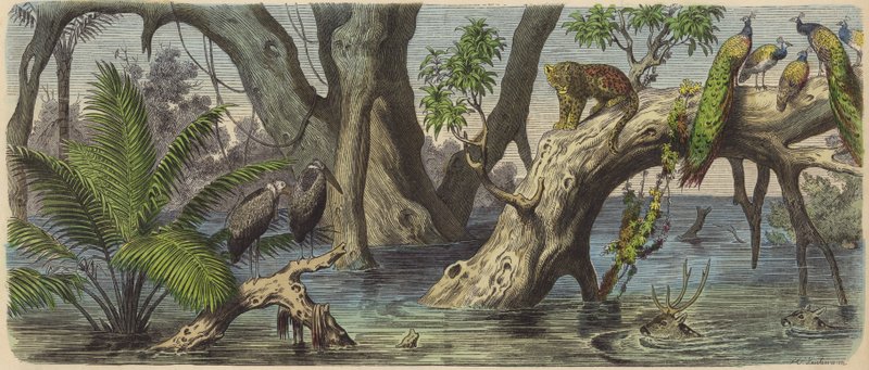 Oversvømmelser i det østlige Indien (farvet indgravering) af Heinrich Leutemann