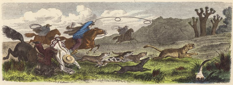 Jagt puma med lasso i Brasilien (farvet gravering) af Heinrich Leutemann