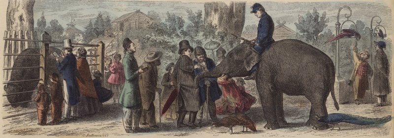 I en zoologisk have i Tyskland (farvet gravering) af Heinrich Leutemann
