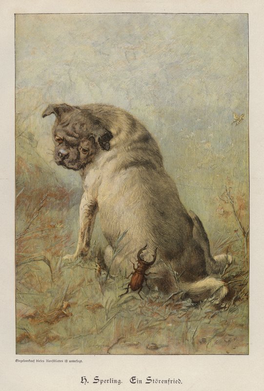 En ballademager (farvet gravering) af Heinrich Sperling