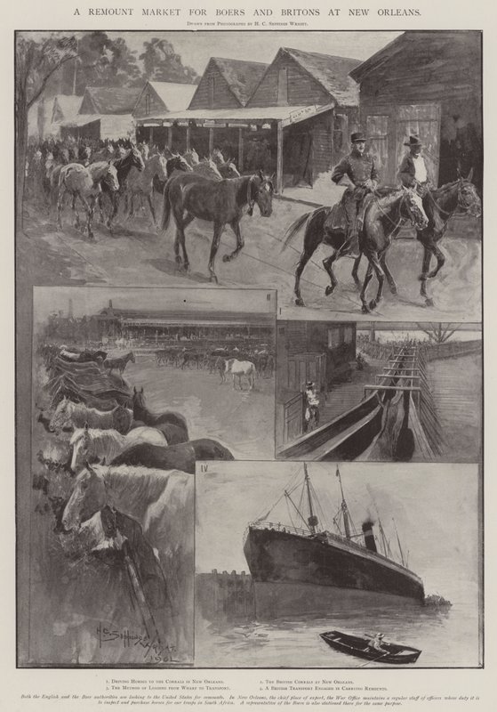 Et Remount-marked for boere og briter i New Orleans af Henry Charles Seppings Wright