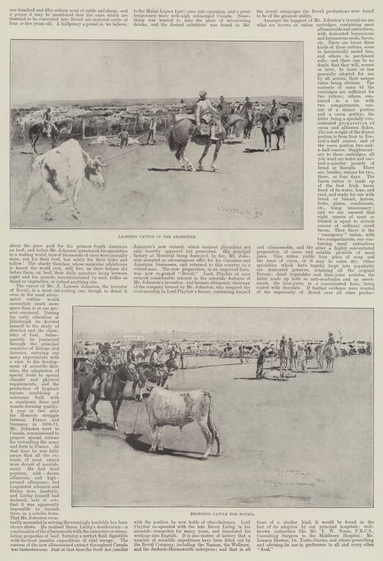 Kvæg i Argentina af Henry Charles Seppings Wright