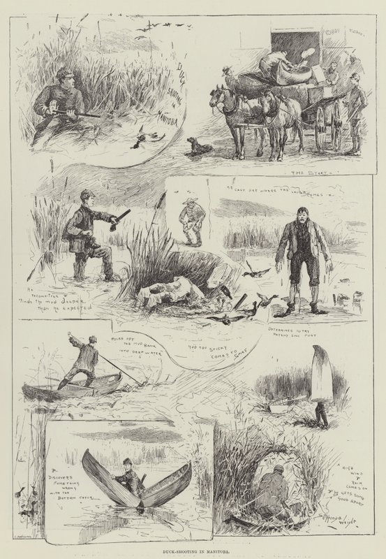 Andeskydning i Manitoba af Henry Charles Seppings Wright