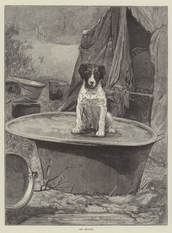 På vagt af Henry Charles Seppings Wright