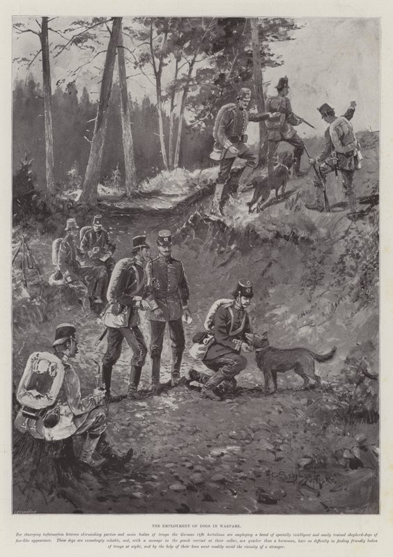Ansættelsen af hunde i krigsførelse af Henry Charles Seppings Wright