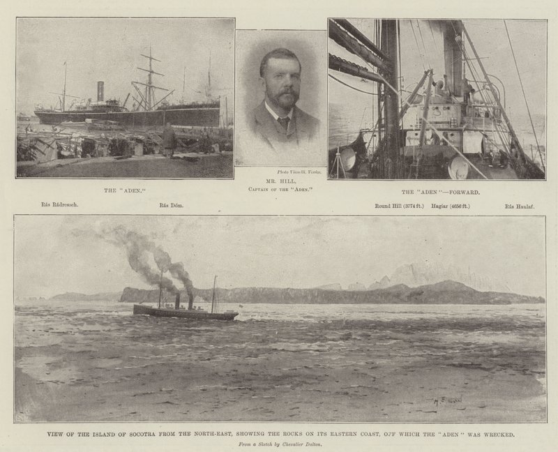 Vraget af Aden af Henry Charles Seppings Wright