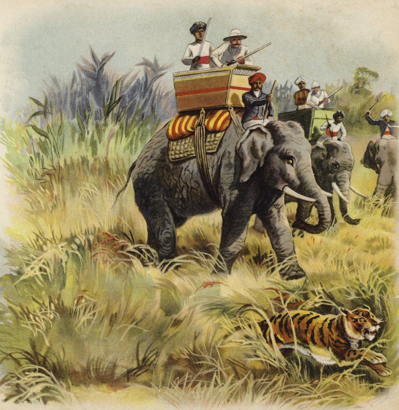 Prinsen af Wales tigerjagt i Indien (chromolitho) af Henry Payne