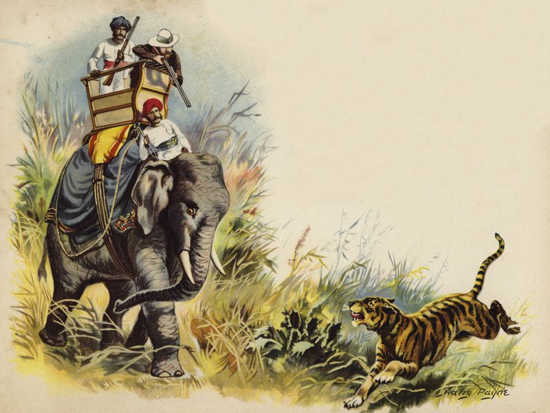 Prinsen af Wales tigerskydning under kongeturen i Indien, 1905 (chromolitho) af Henry Payne
