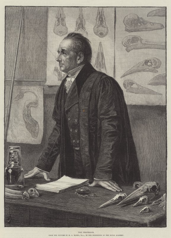 Professoren af Henry Stacey Marks