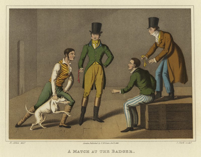 En kamp på Badger (chromolitho) af Henry Thomas Alken