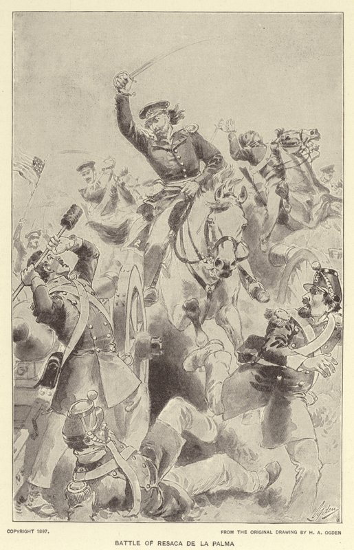 Slaget ved Palm Hangover (litho) af Henry Alexander (after) Ogden