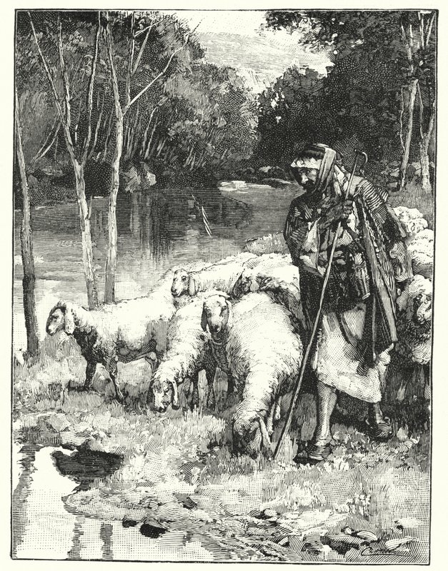 En hyrde og hans flok i Anti-Libanon (litho) af Henry Andrew Harper