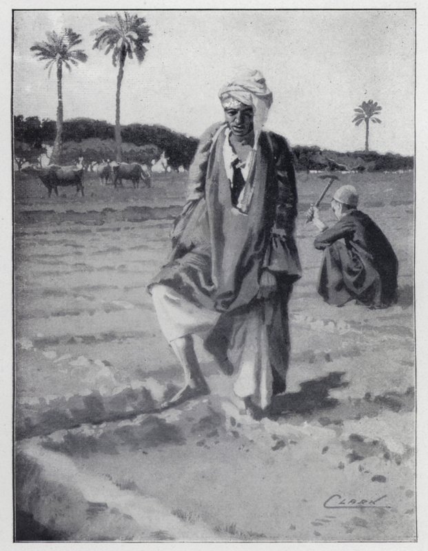 Vanding med foden ved Gizeh, Egypten (litho) af Henry Andrew Harper
