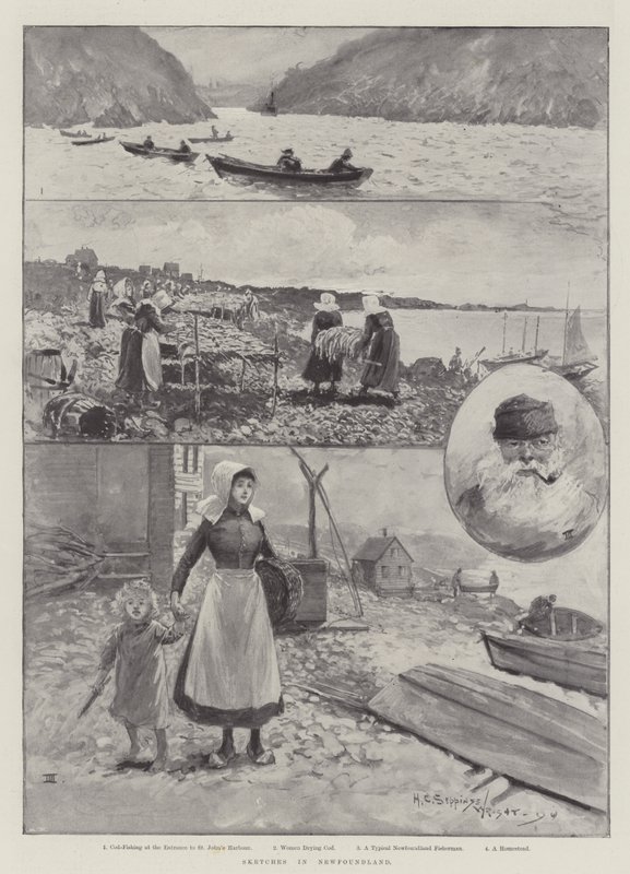 Skitser i Newfoundland af Henry Charles Seppings Wright