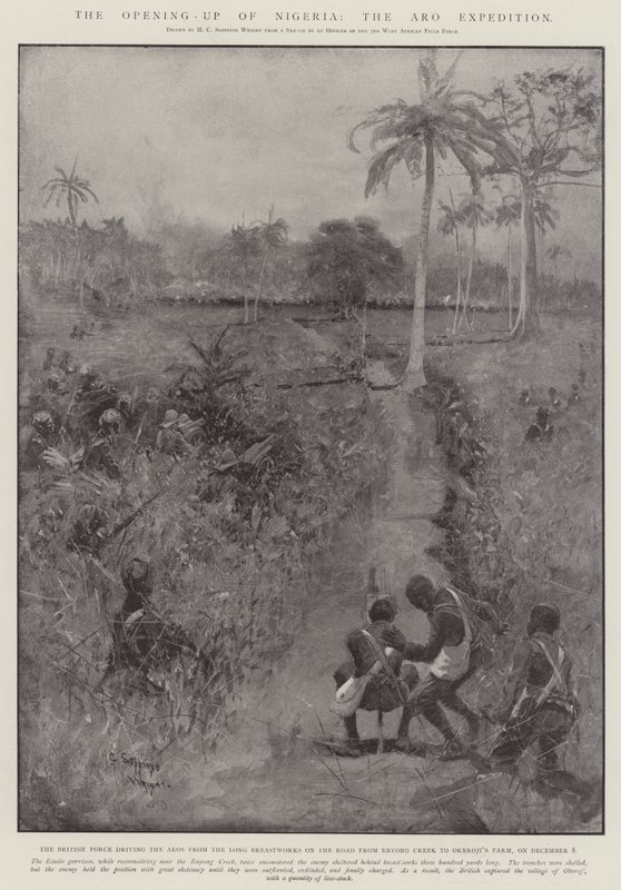 Åbningen af Nigeria, Aro-ekspeditionen af Henry Charles Seppings Wright