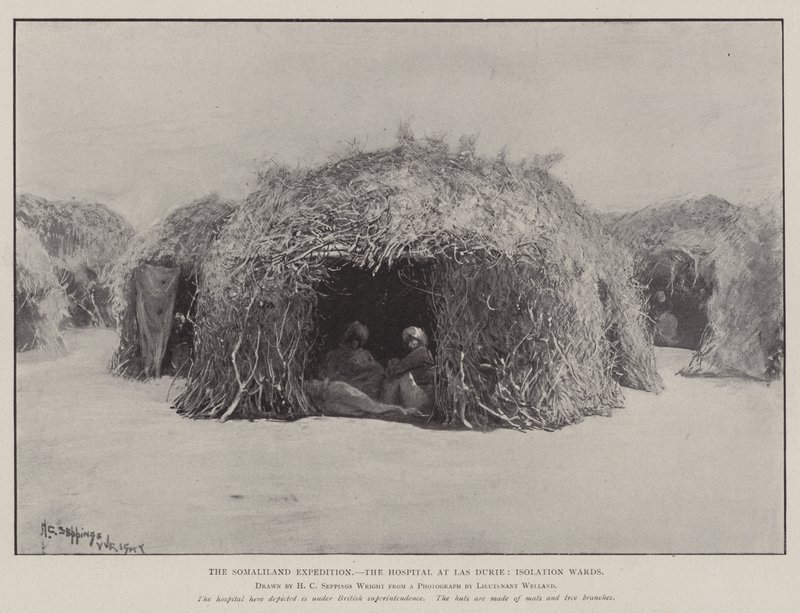 Somaliland-ekspeditionen, hospitalet i Las Durie, isolationsafdelinger af Henry Charles Seppings Wright